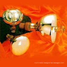 Reflector Type Mercury Lamp (ML-305)